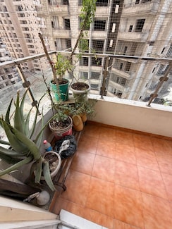 2.5 BHK + Study Room Apartment For Sale in Amrapali Centurian Park