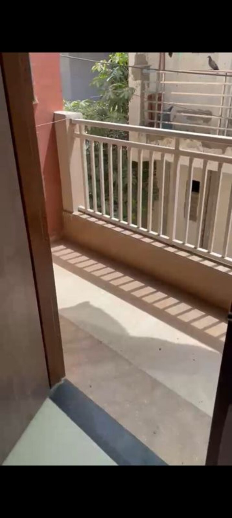 Balcony, dharam colony 2 Bedroom 850 Sq.Ft. Apartment In Dharam Colony Gurgaon 10396190