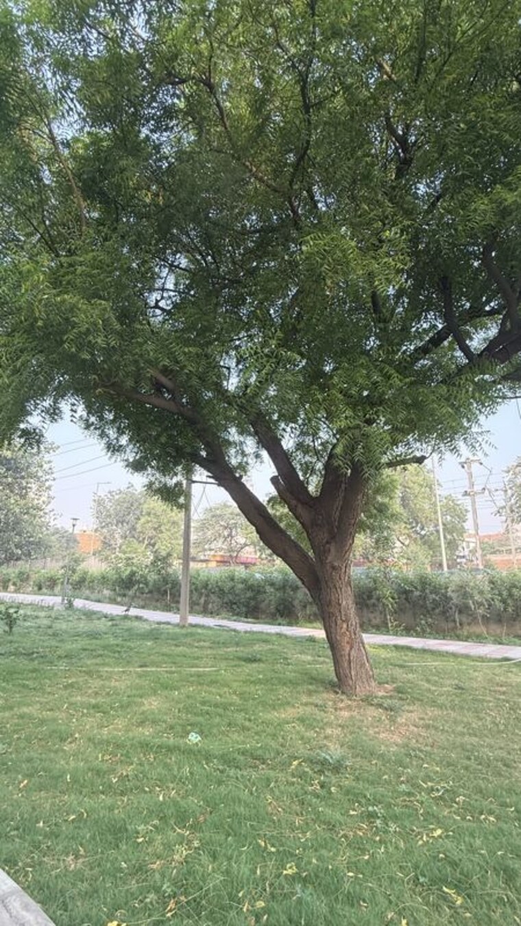 Garden, palam vihar 2.5 Bedroom 1500 Sq.Yd. Independent House In Palam Vihar Gurgaon 10396284