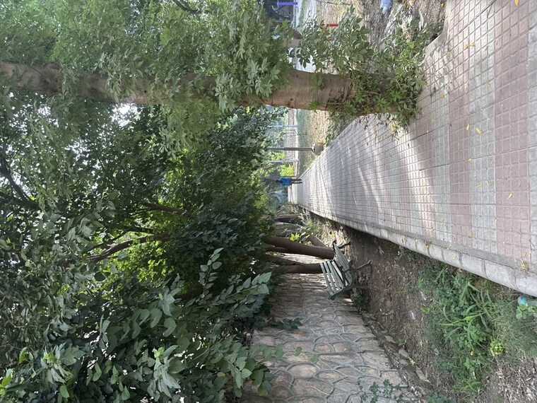 Exterior View, palam vihar 2.5 Bedroom 1500 Sq.Yd. Independent House In Palam Vihar Gurgaon 10396284