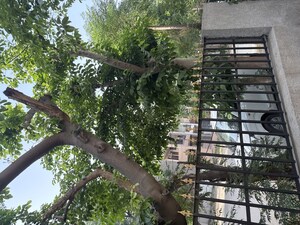 Balcony in 2.5 BHK Independent House at Palam Vihar – for Sale