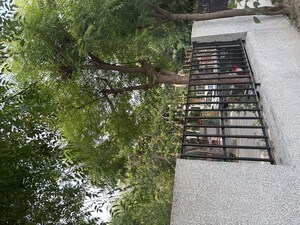 2.5 BHK Independent House – Exterior View View at Palam Vihar - for Sale