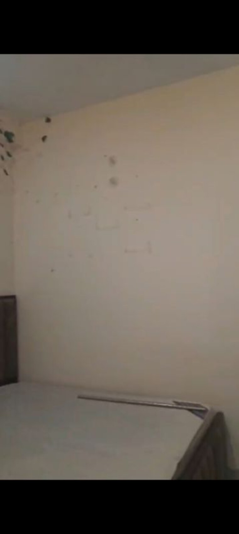 Room, palam vihar extension 2 Bedroom 1100 Sq.Ft. Builder Floor In Palam Vihar Extension Gurgaon 10396304
