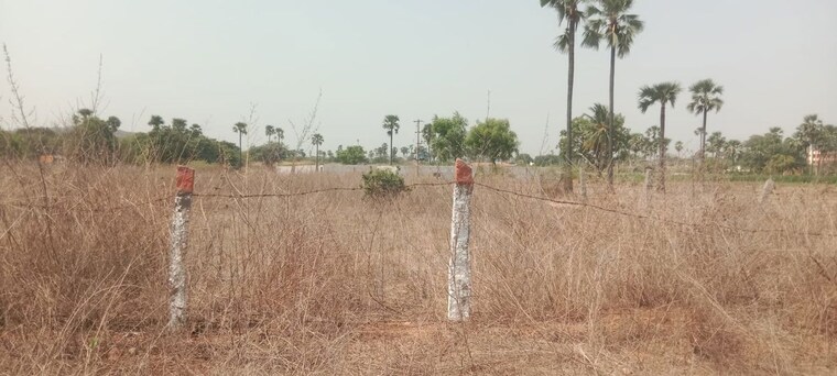 undefined, kandukur Commercial Land 2 Acre In Kandukur Hyderabad 10396558