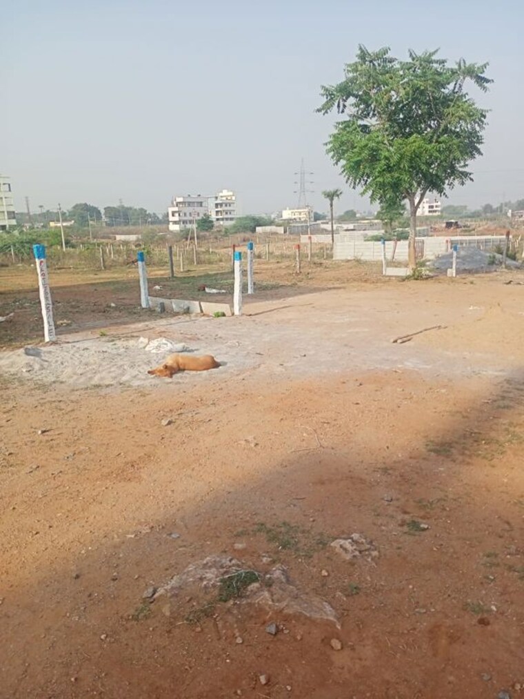 undefined, kandukur Commercial Land 2 Acre In Kandukur Hyderabad 10396558