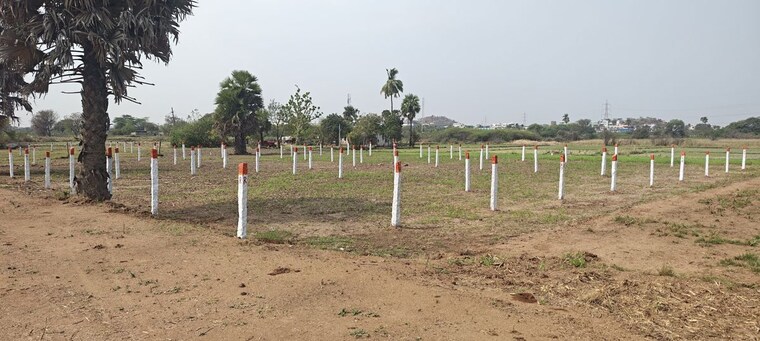 undefined, kandukur Commercial Land 2 Acre In Kandukur Hyderabad 10396558