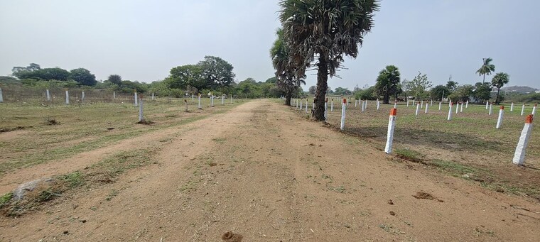undefined, kandukur Commercial Land 2 Acre In Kandukur Hyderabad 10396558