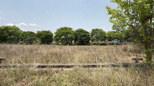 Plot Area in  Plot at Bodametlapalem – for Sale