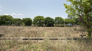  Plot For Sale in Bodametlapalem