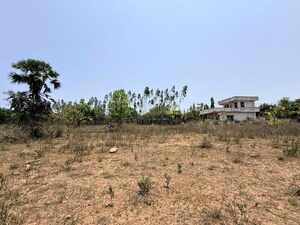 Plot Area in  Plot at Bodametlapalem – for Sale