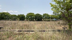 Plot Area in  Plot at Bodametlapalem – for Sale
