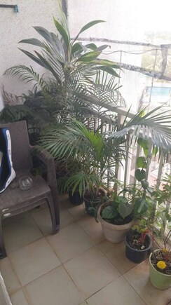 1 BHK +Apartment For Sale in Ashish Complex Bhayandar East