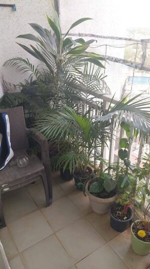 1 BHK Apartment For Sale in Ashish Complex Bhayandar East, Bhayandar East