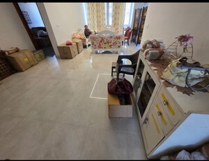 Team Area in 3 BHK Builder Floor at Sector 21 – for Rent