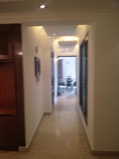 3 BHK + Study Room Builder Floor For Rent in DLF Phase I