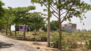 Plot Area in  Plot at Gaughat – for Sale