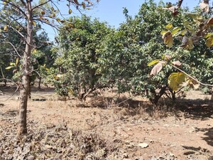 Plot Area in  Plot at Chilkur – for Sale