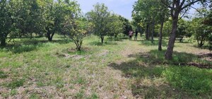  Plot For Sale in Chilkur