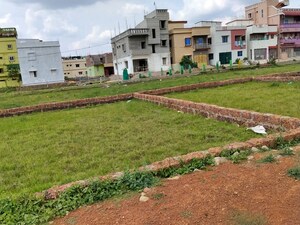Plot Area in  Plot at Bankual – for Sale