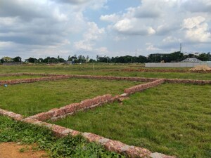 Plot Area in  Plot at Bankual – for Sale