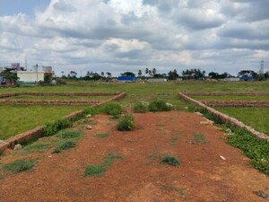 Plot Area in  Plot at Bankual – for Sale