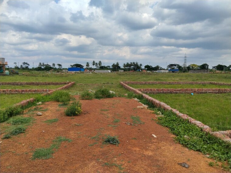 undefined, bankual  1200 Sq.Ft. Plot In Bankual Bhubaneswar 10397435