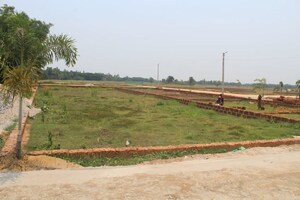 Plot Area in  Plot at Balianta – for Sale