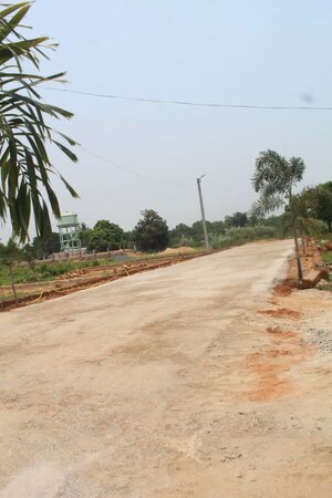 Plot Area in  Plot at Balianta – for Sale