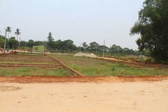 Plot For Sale in Balianta