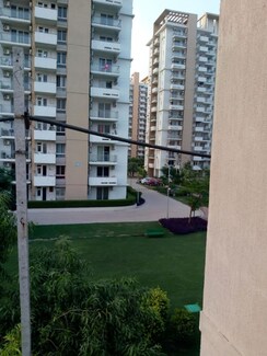 3 BHK Apartment For Rent in BPTP Amstoria Country Floor