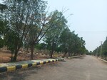 200 Sq.Yd. Plot in CBC Cosmopolis