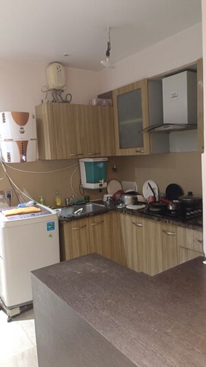 Kitchen in 3 BHK Builder Floor at New Rajinder Nagar – for Rent