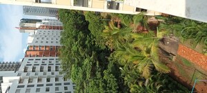 3 BHK Apartment – Garden View at Comfort Zone, Balewadi - for Rent