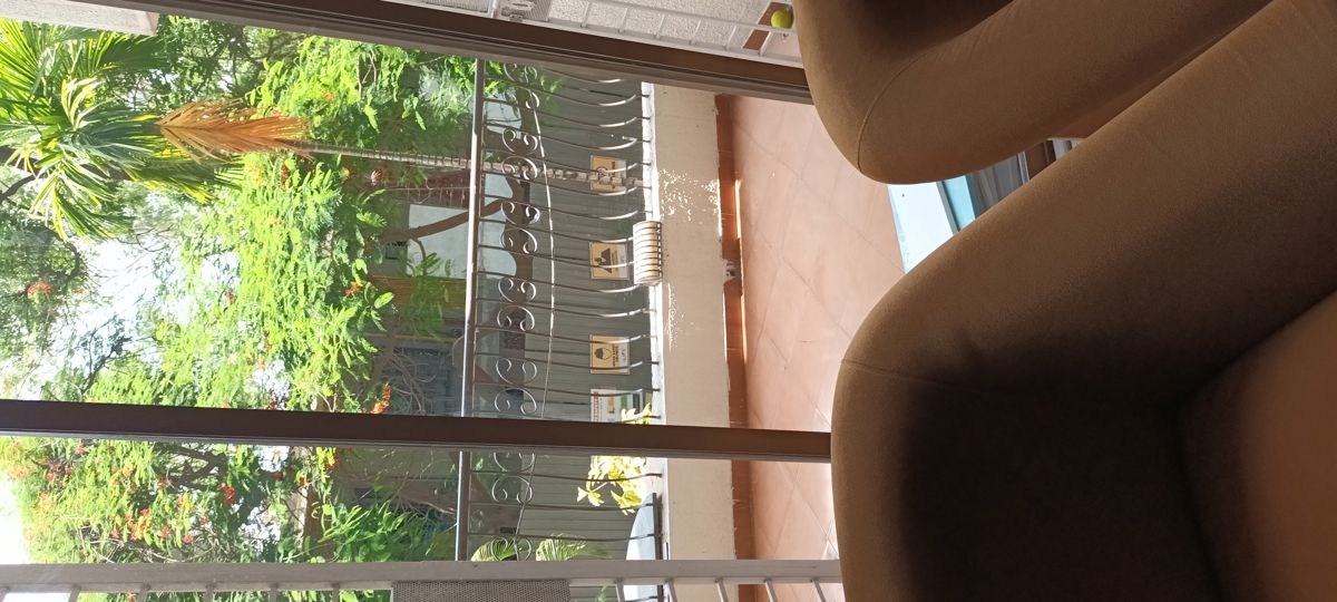 2 BHK + Basement Apartment For Rent in Rachana Belvedere Apartment