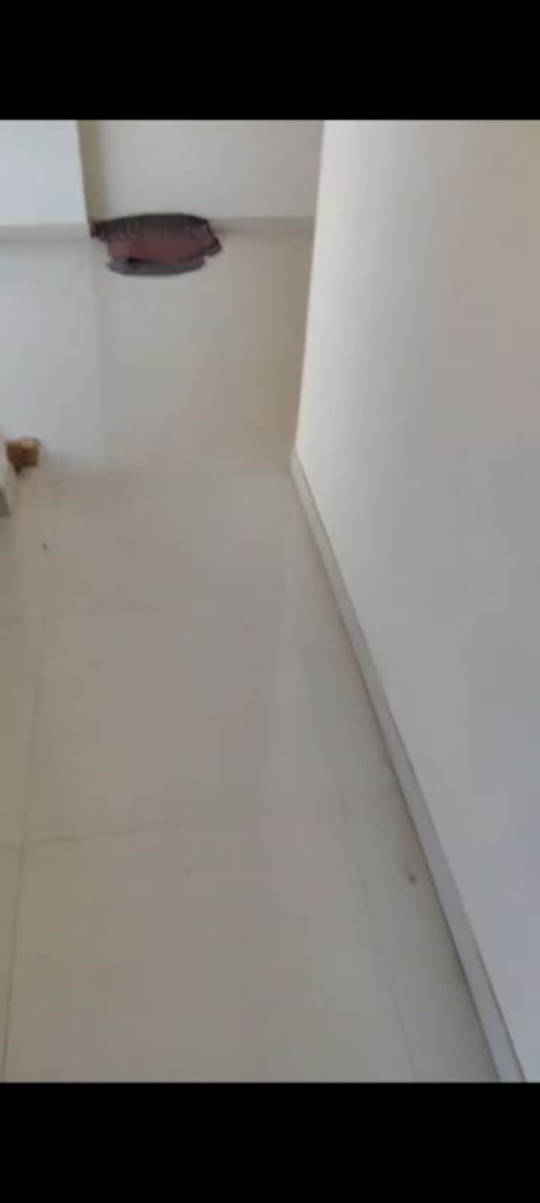 undefined, savera-chs-kurla 1 Bedroom 350 Sq.Ft. Apartment In Kurla East Mumbai 10397747