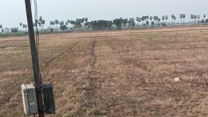  Plot For Sale in Vuyyuru