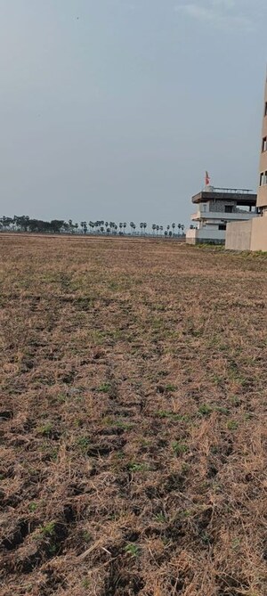 Plot Area in  Plot at Poranki – for Sale