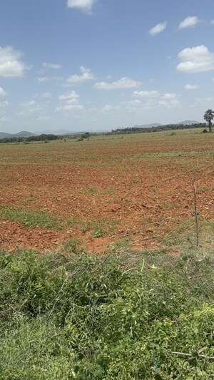 Plot Area in  Plot at Poranki – for Sale