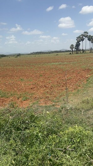 Plot Area in  Plot at Poranki – for Sale