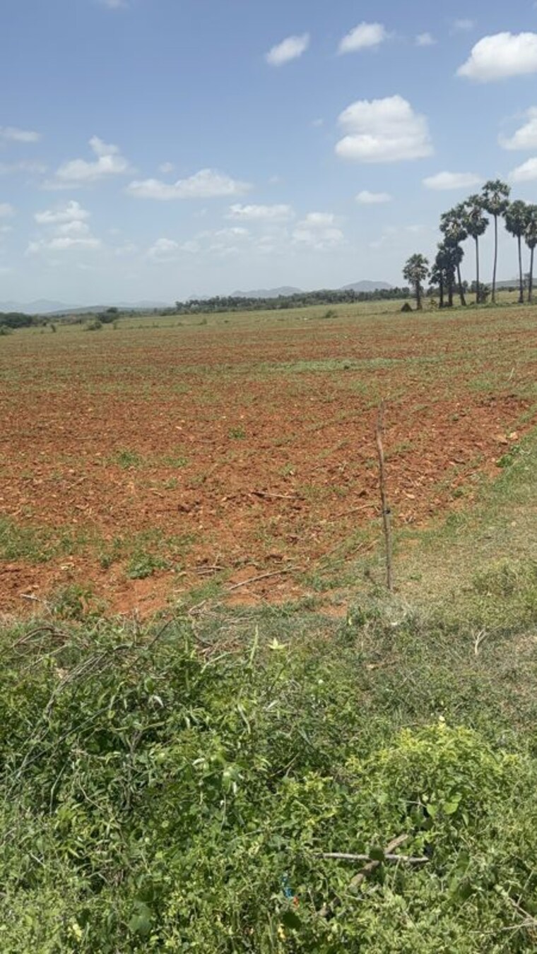undefined, poranki  240 Sq.Yd. Plot In Poranki Vijayawada 10398010