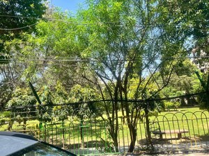 2 BHK Builder Floor – Garden View at Malviya Nagar - for Sale