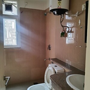 Bathroom in 2 BHK Apartment at Emaar Emerald Estate, Sector 65 – for Rent