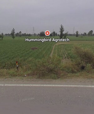  Land For Sale in Mandia Guljari
