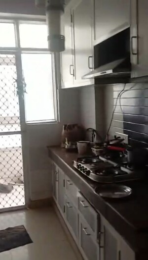 Kitchen in 3 BHK Apartment at MCC Signature Homes, Raj Nagar Extension – for Rent