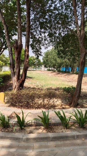  Plot – Exterior View View at BPTP Amstoria Plot, Sector 102 - for Sale