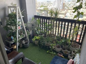 Balcony in 2 BHK Apartment at Bramhacorp F Residences, Kalyani Nagar – for Rent