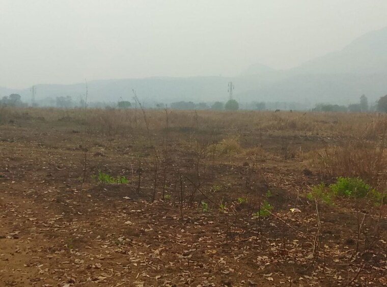 undefined, pali  1089 Sq.Ft. Plot In Pali Navi Mumbai 10398744