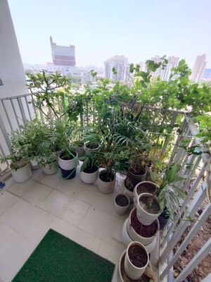 Balcony in 3 BHK Apartment at Ireo Victory Valley, Sector 67 – for Sale