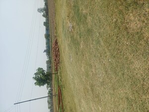 Plot Area in  Land at Kheri Khurd – for Sale