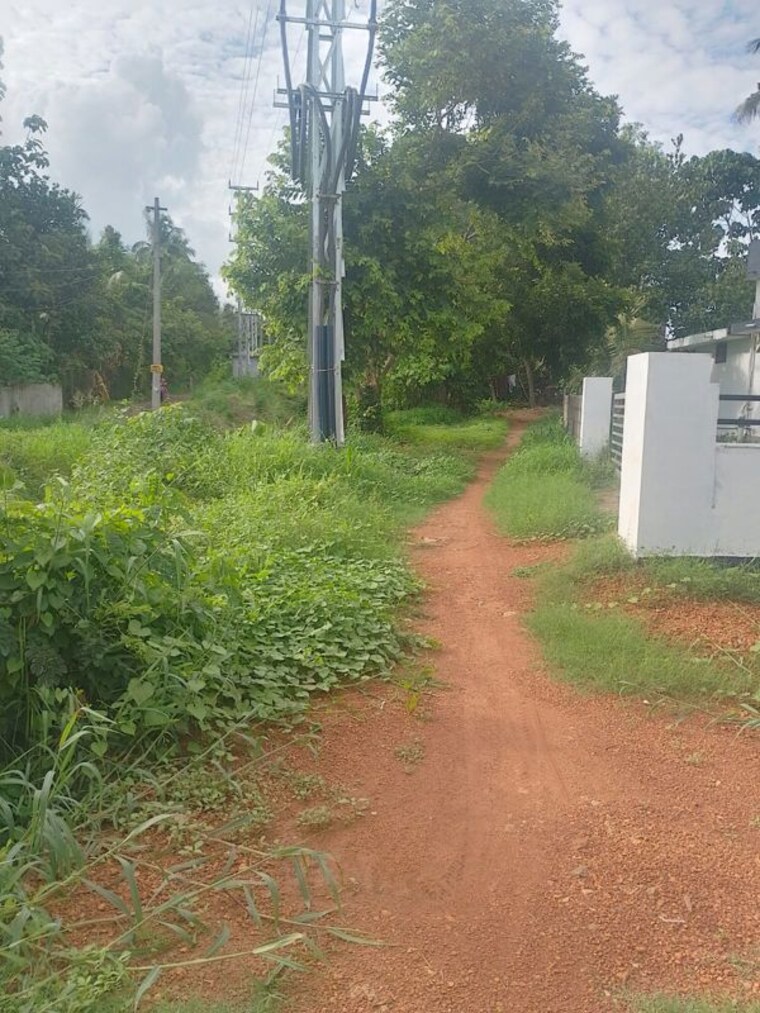 undefined, kottekkad  1742 Sq.Ft. Plot In Kottekkad Thrissur 10399152